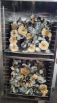Hillbilly-Pumpkin-Shrooms-scaled-1.jpg